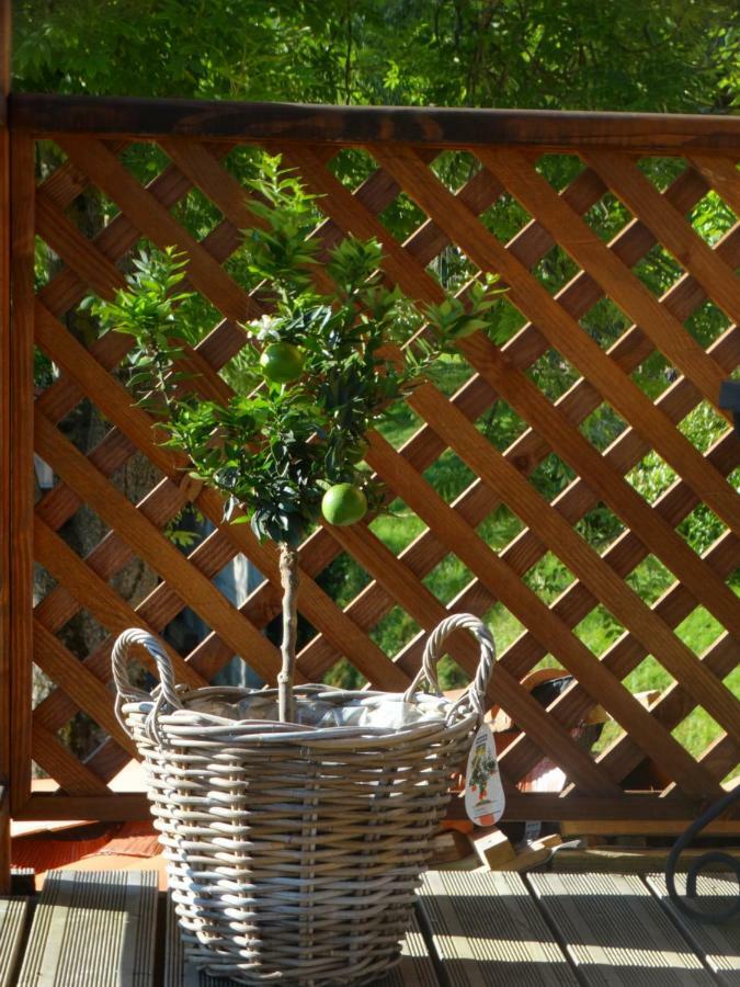 Gite Colombe Des Bois Estadens المظهر الخارجي الصورة